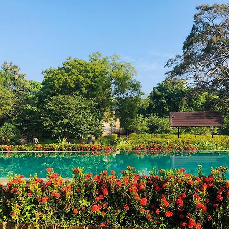 Lolu Village Resort 阿努拉德普勒 外观 照片